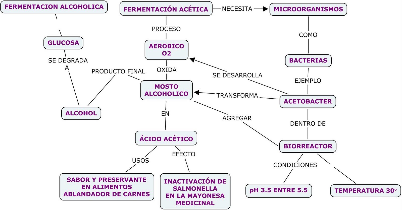 fermentacion acetica